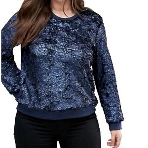 FourteenthPlace Blue Textured Sweatshirt Size S/P